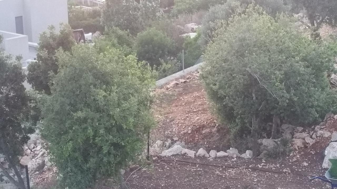 Nof Lavon Villa Buitenkant foto